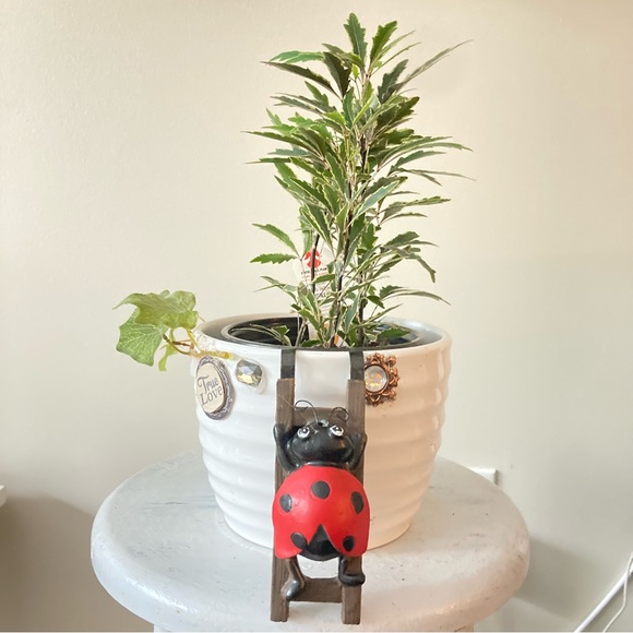Flower pot hugger ladybug - Picture 7 of 11